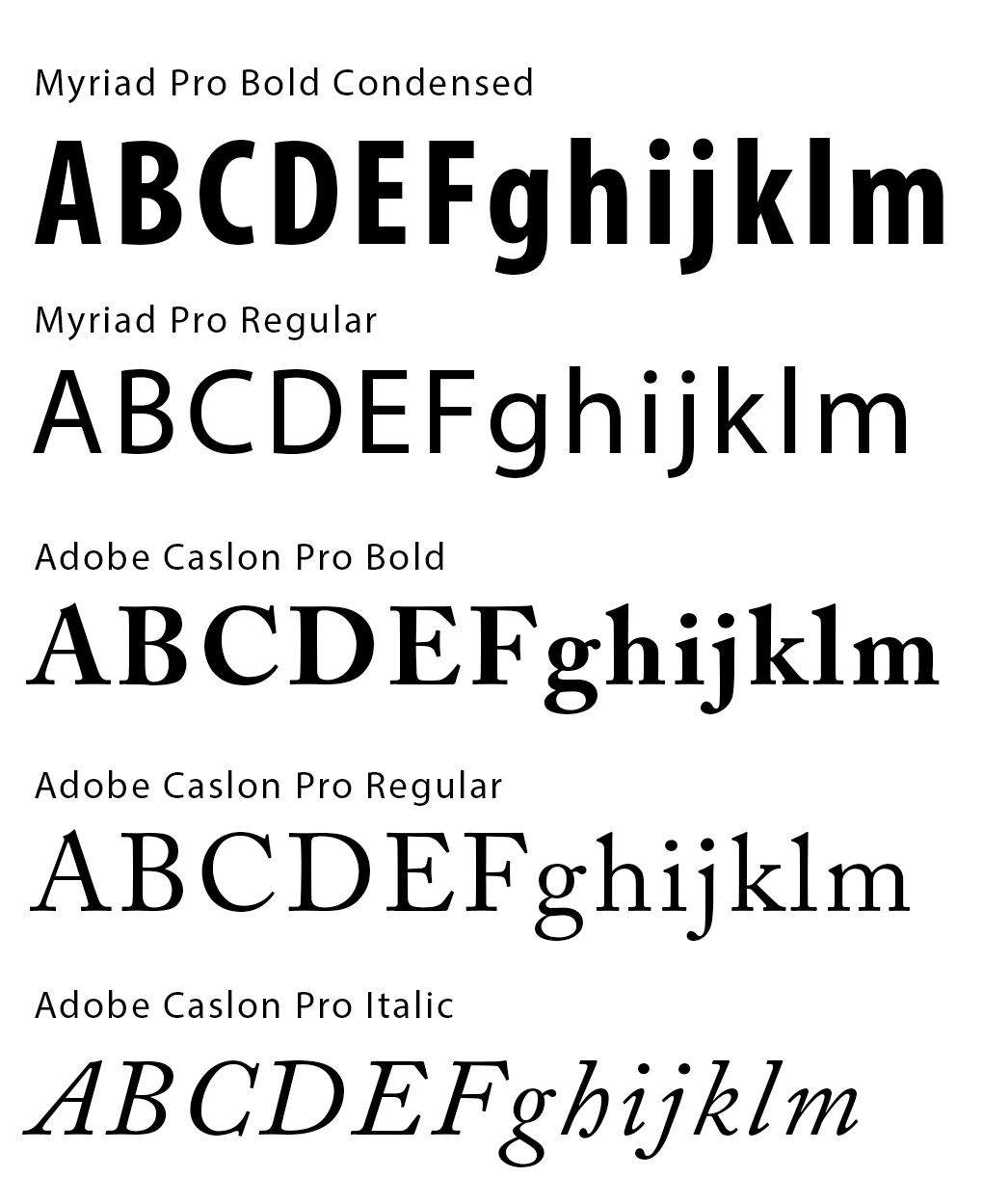 LSAG Typography